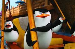 Пингвины: Числа - Penguins of Madagascar Numbers